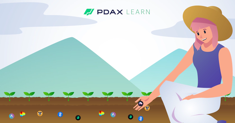 What is yield farming?